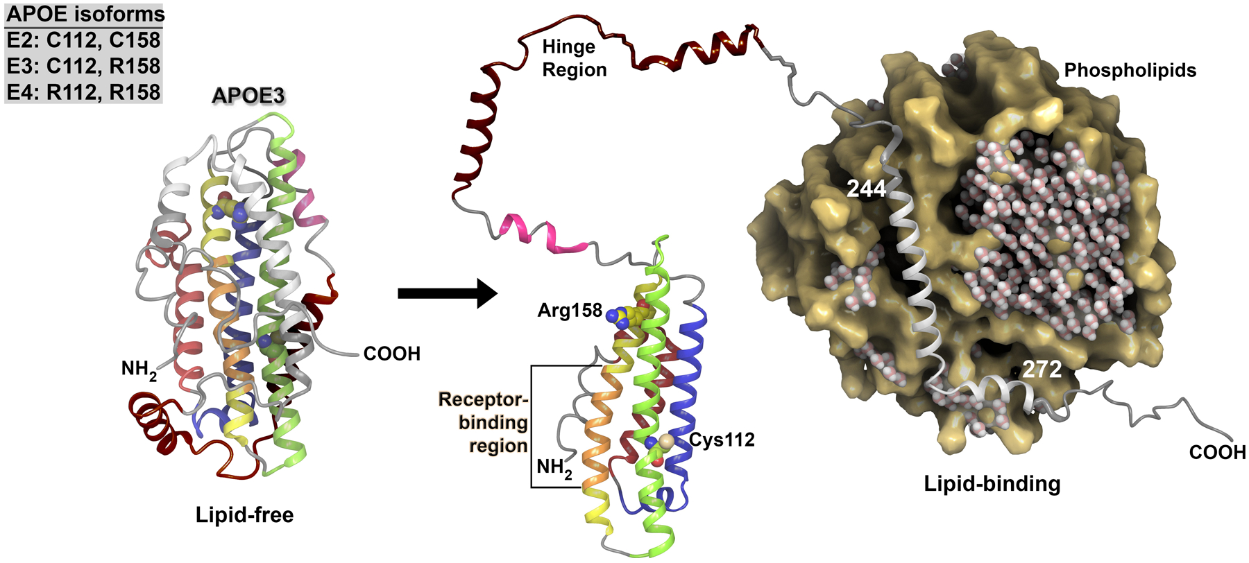 Figure 1: