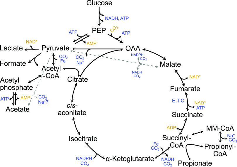 FIG 2