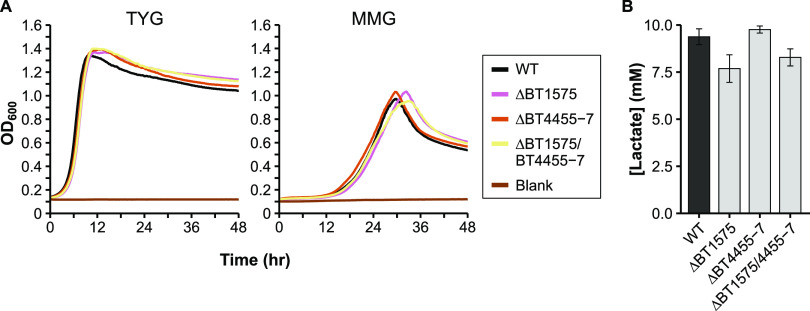 FIG 4