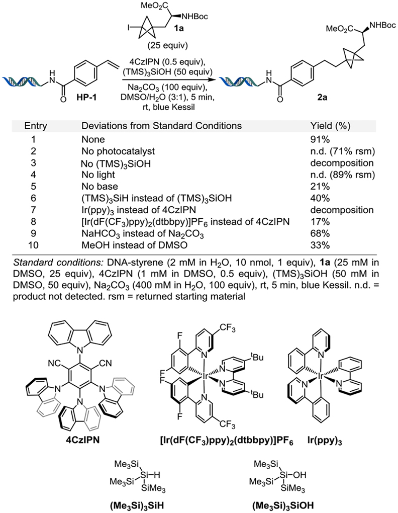 graphic file with name nihms-1922160-t0002.jpg