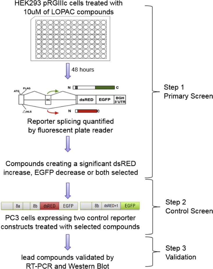 Figure 1