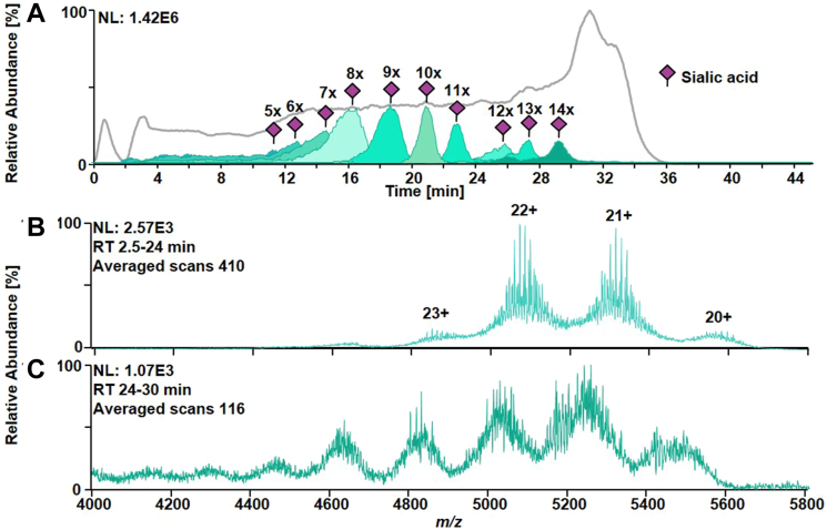 Fig. 3