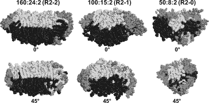 FIGURE 10.