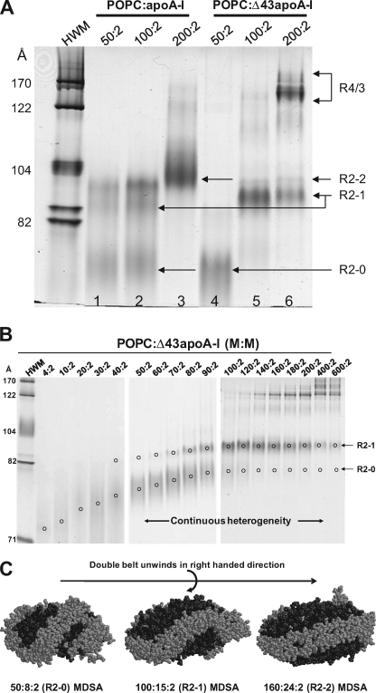 FIGURE 9.