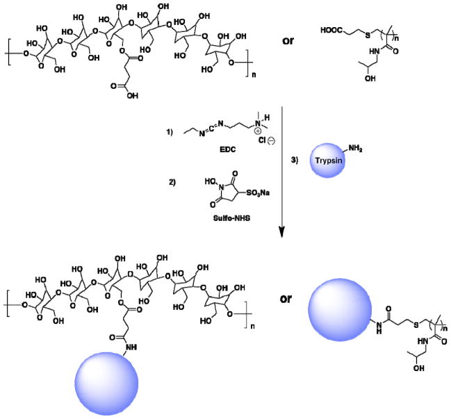 Scheme 2