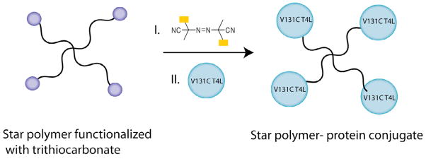 Scheme 7