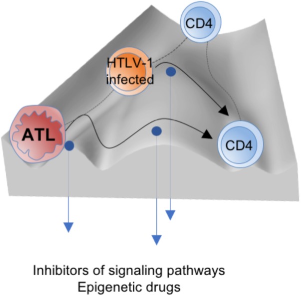 FIGURE 3