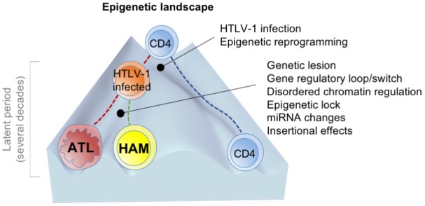 FIGURE 2