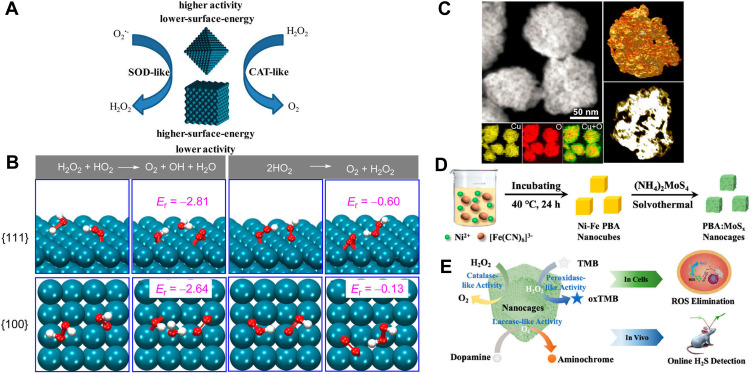 Figure 3