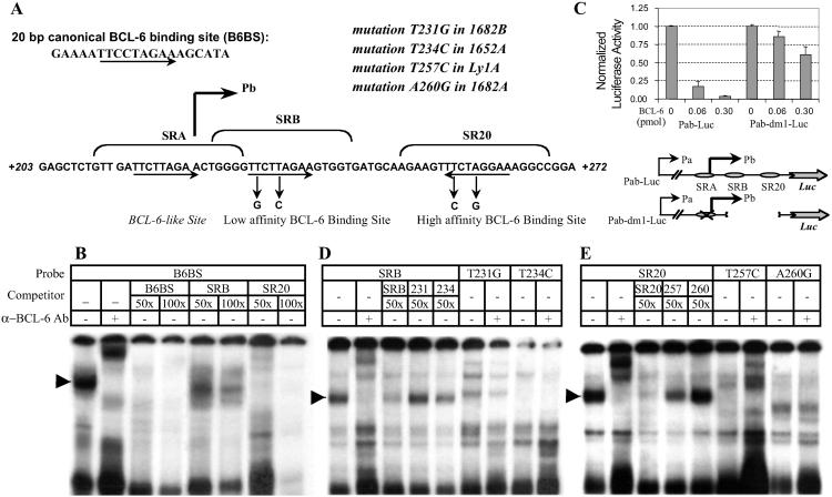 Fig 2.