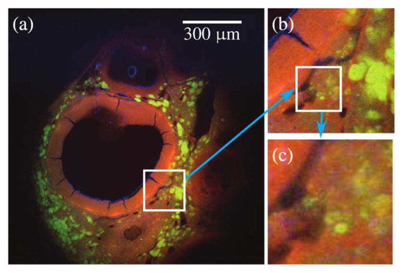 Figure 21