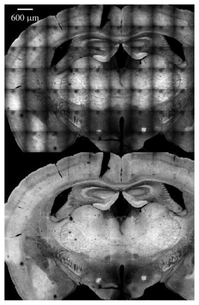 Figure 61