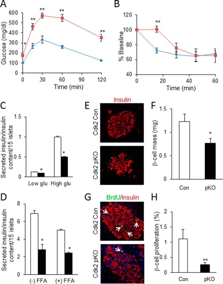 FIGURE 12.