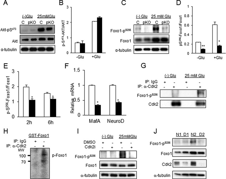 FIGURE 11.