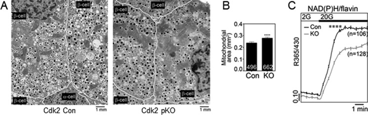 FIGURE 10.