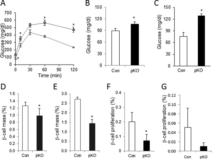 FIGURE 13.