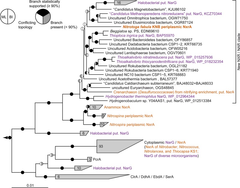 FIG 6 