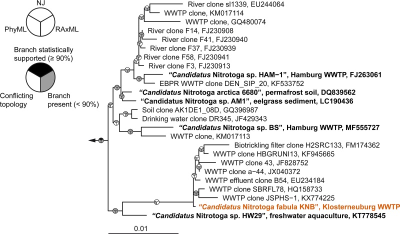 FIG 1 