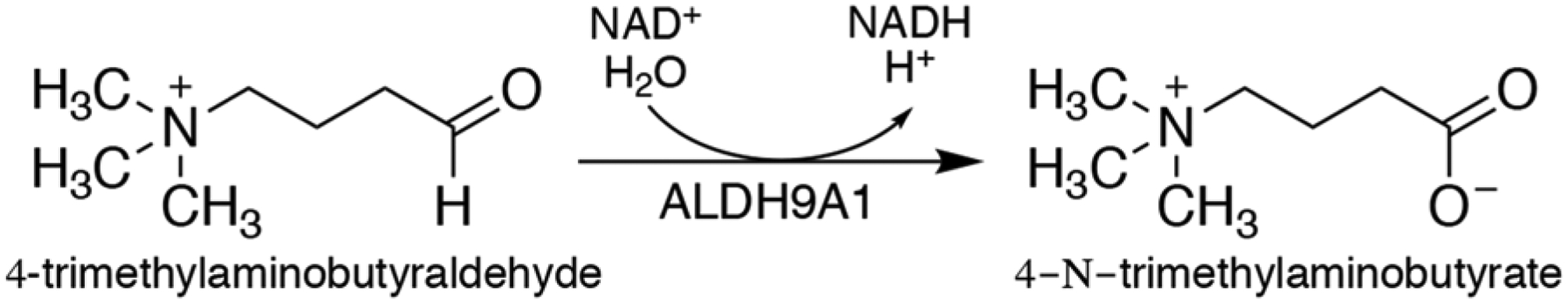 Scheme 1.