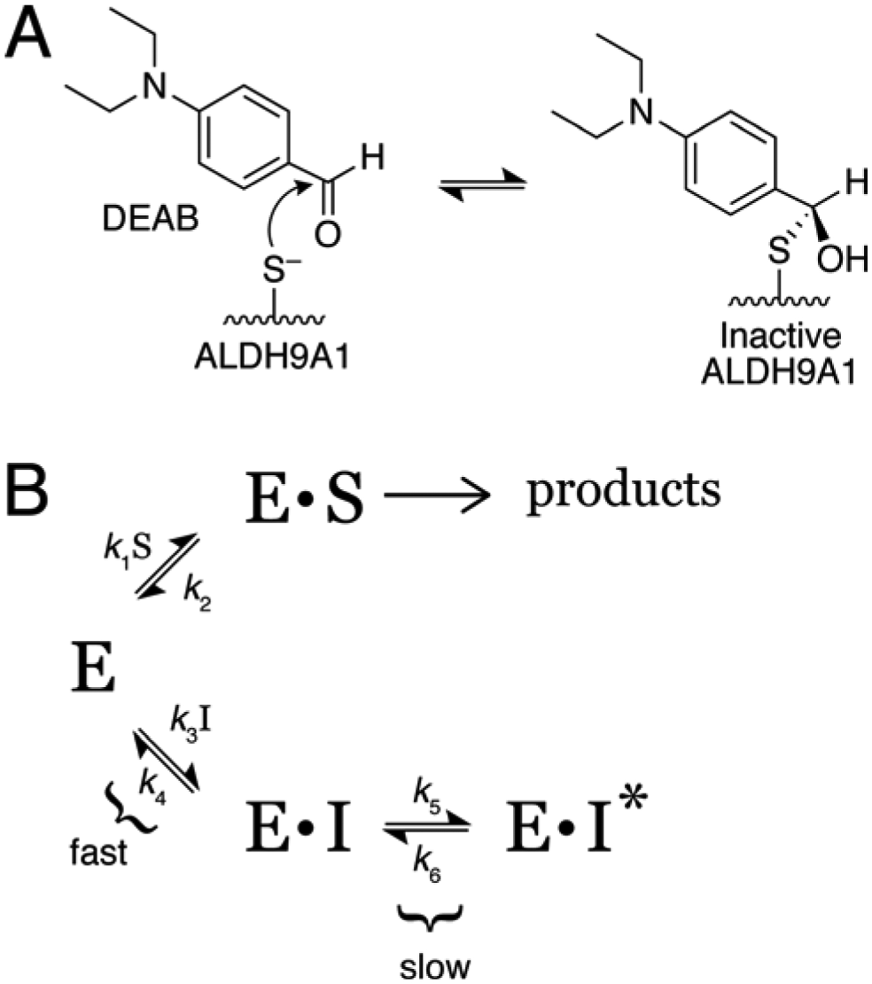 Scheme 2.