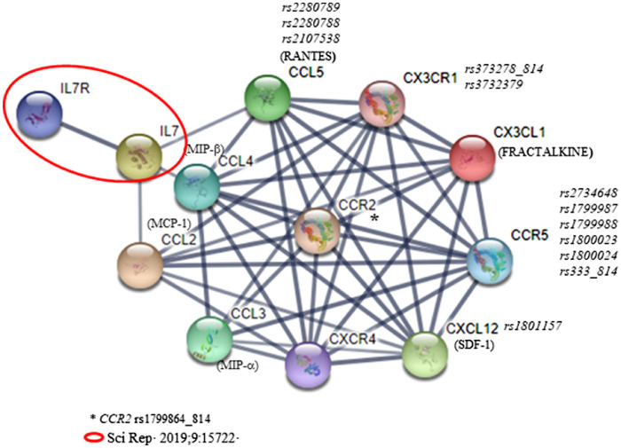 Fig 6