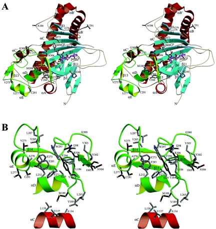 FIG. 2.