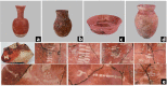 Fig 3