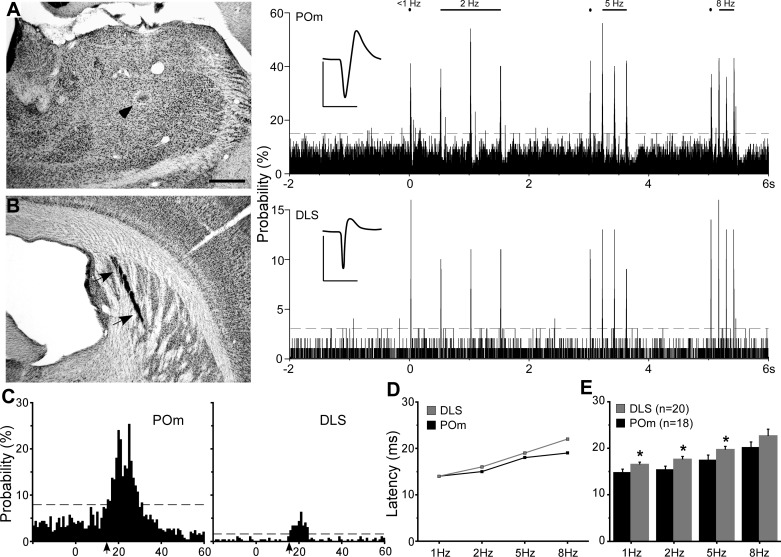 Fig. 11.