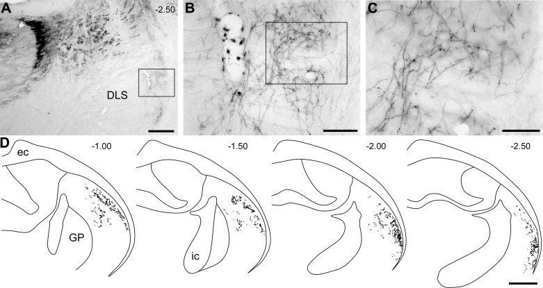 Fig. 7.