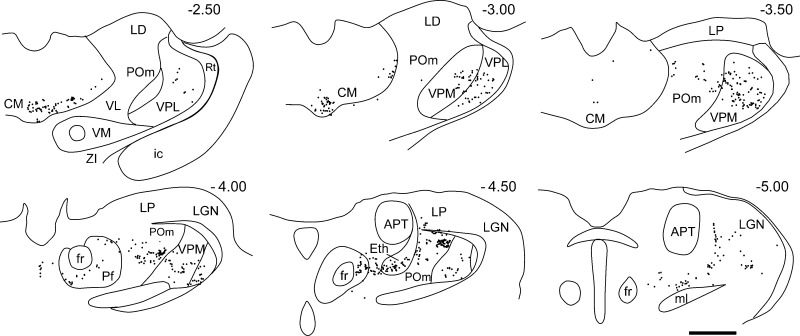 Fig. 5.