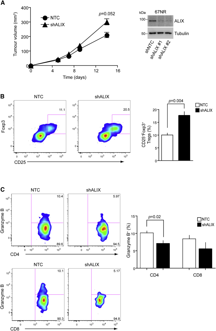 Figure 7