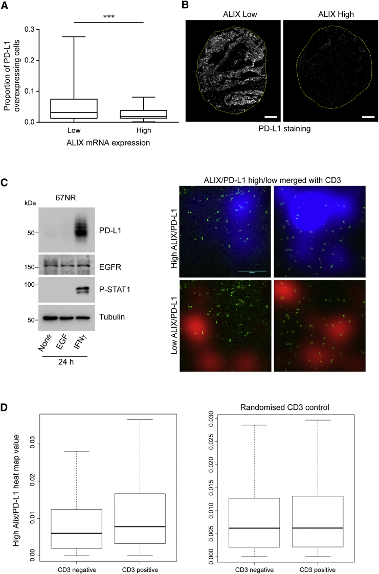 Figure 6