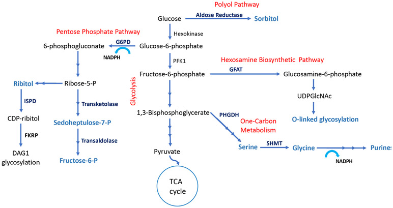 Figure 1: