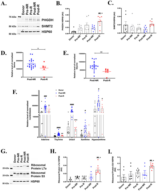 Figure 5: