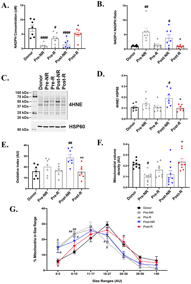 Figure 6: