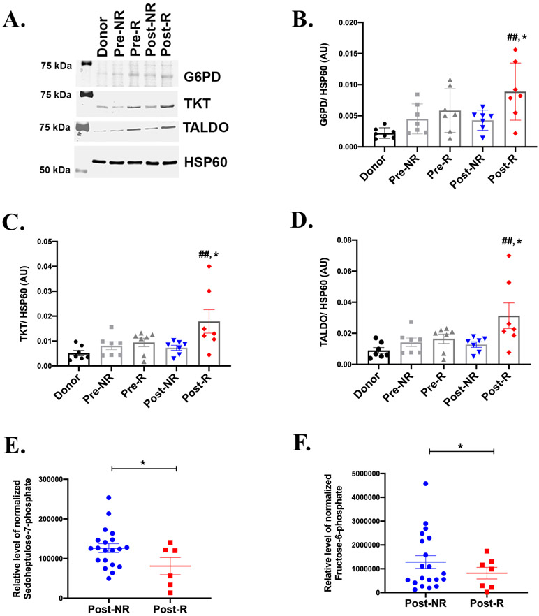 Figure 3: