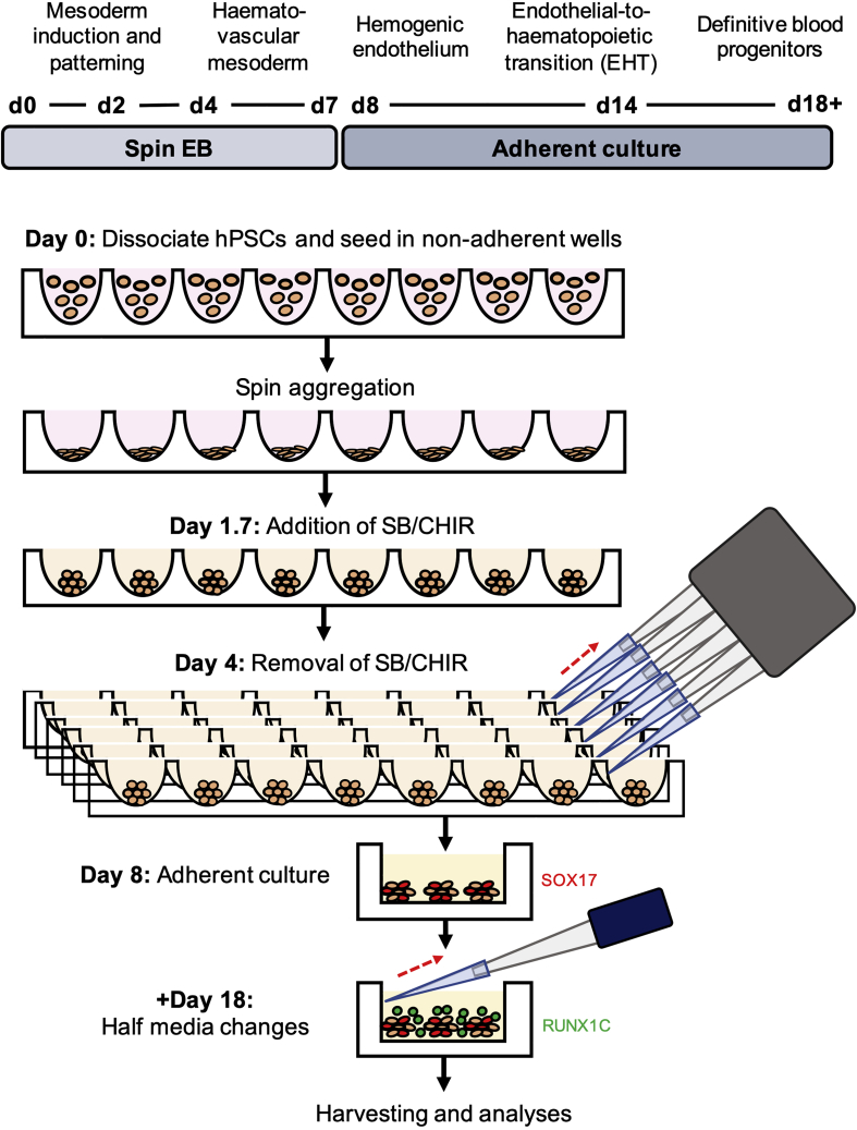 Figure 1