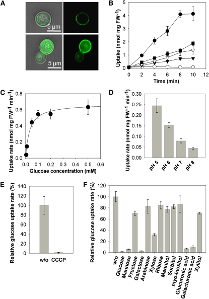 Figure 3.