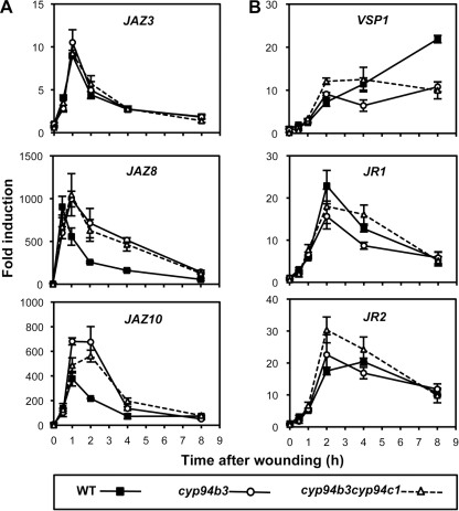 FIGURE 5.