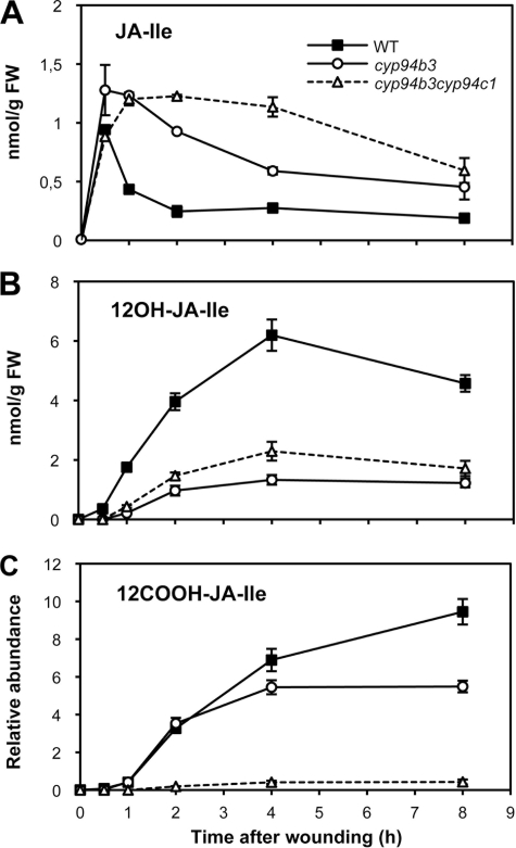 FIGURE 4.