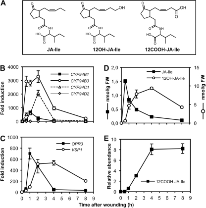 FIGURE 1.