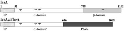 FIG. 1