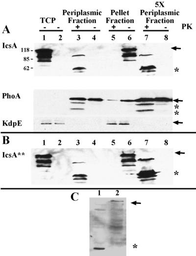 FIG. 5