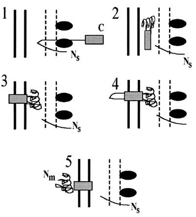 FIG. 7