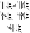 FIG. 7