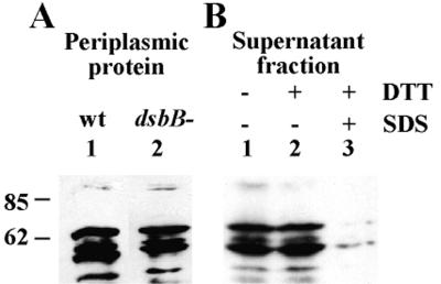 FIG. 6