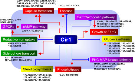 Figure 6