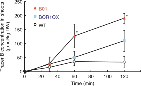 Fig. 7.