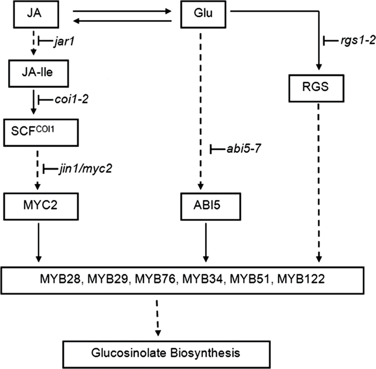 Fig. 8.