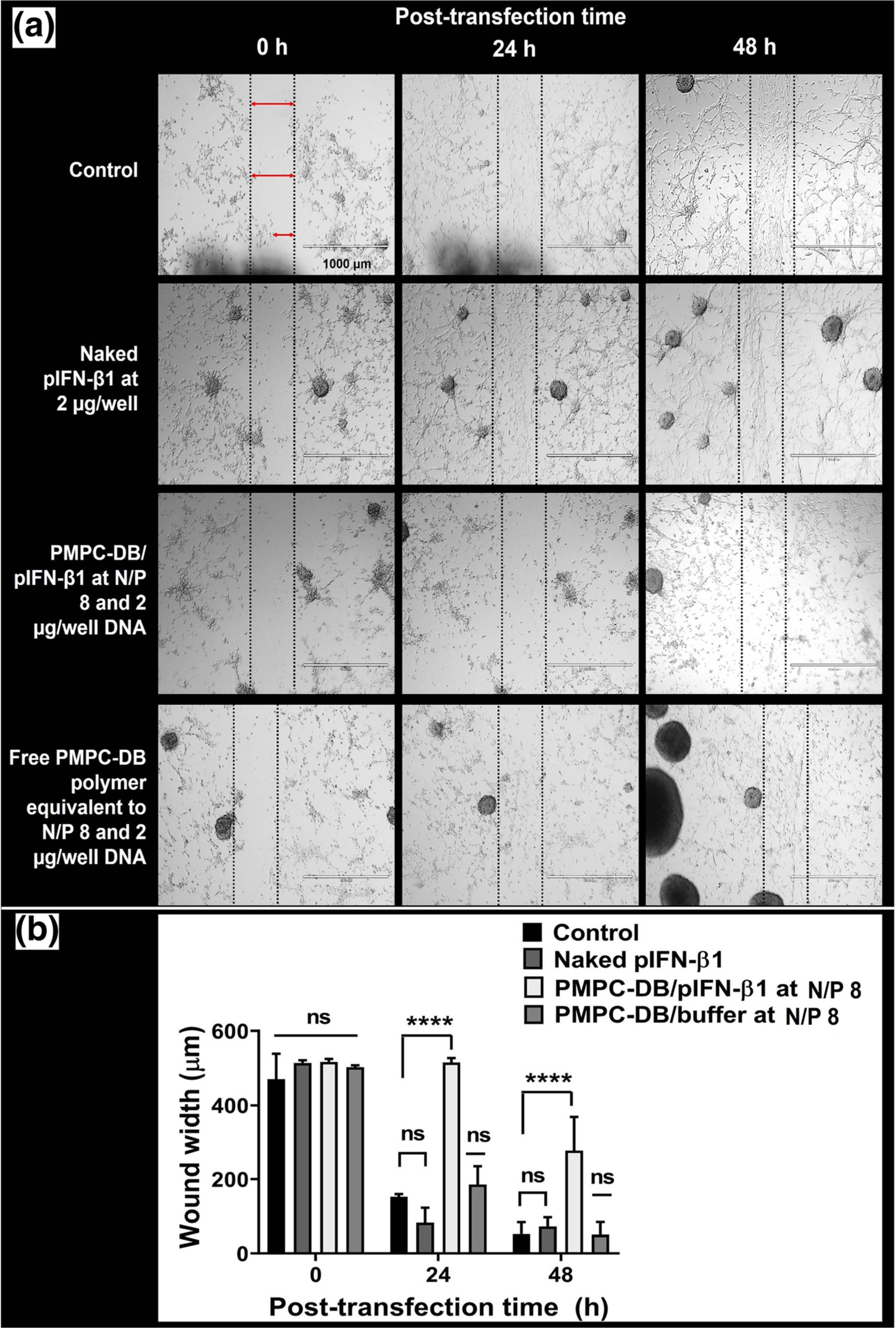 Fig. 8